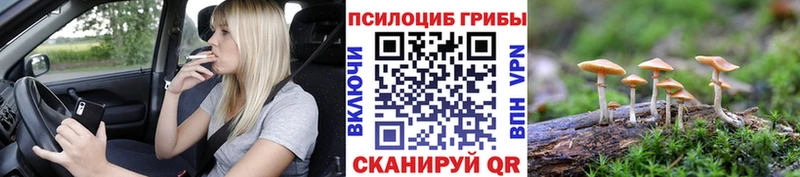 Галлюциногенные грибы мухоморы Отрадный
