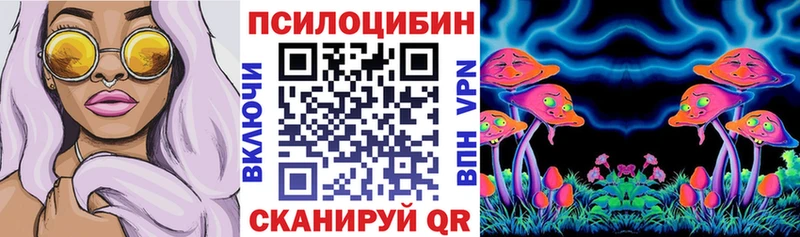 магазин продажи   Отрадный  Галлюциногенные грибы GOLDEN TEACHER 
